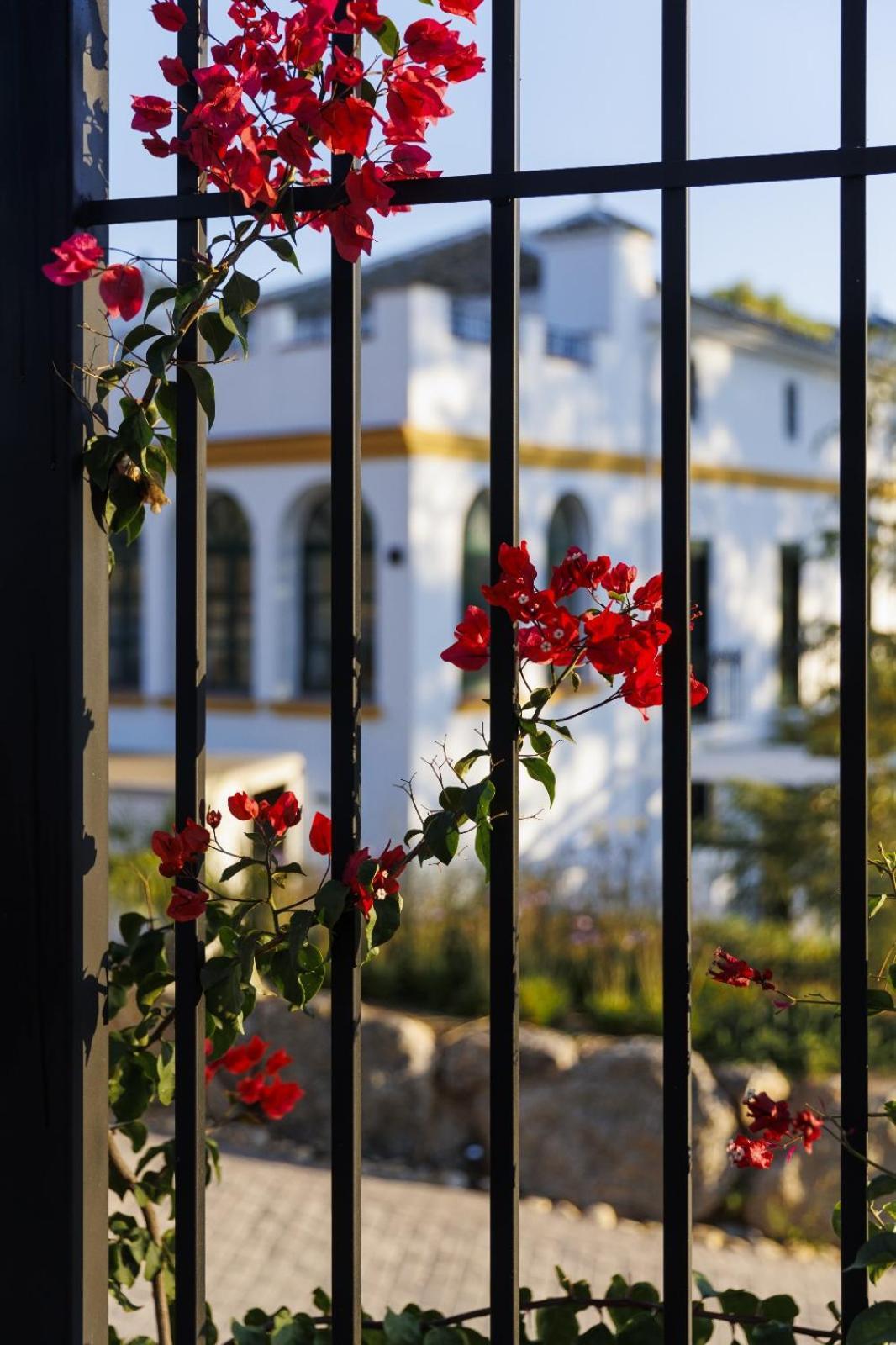 Finca Las Pecas Самбра Экстерьер фото